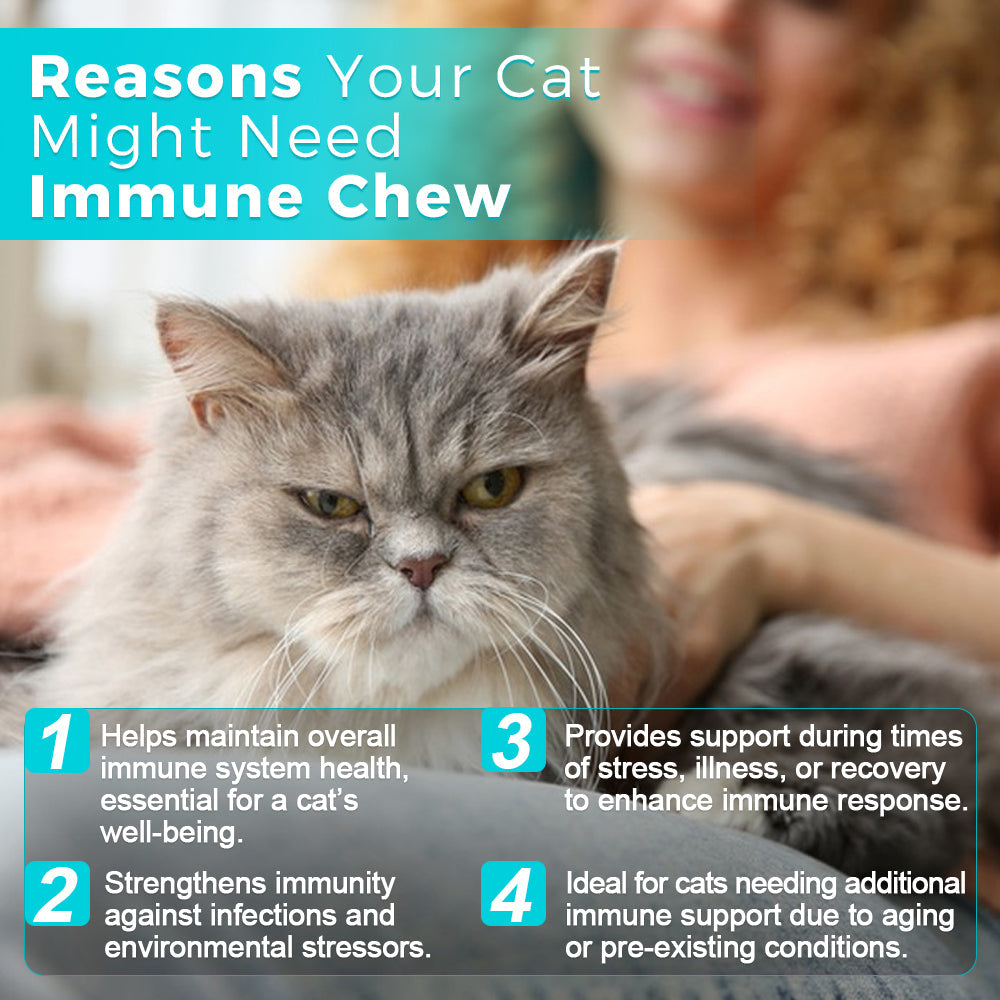Welsdom Cat Immune Chews — 60 Chews