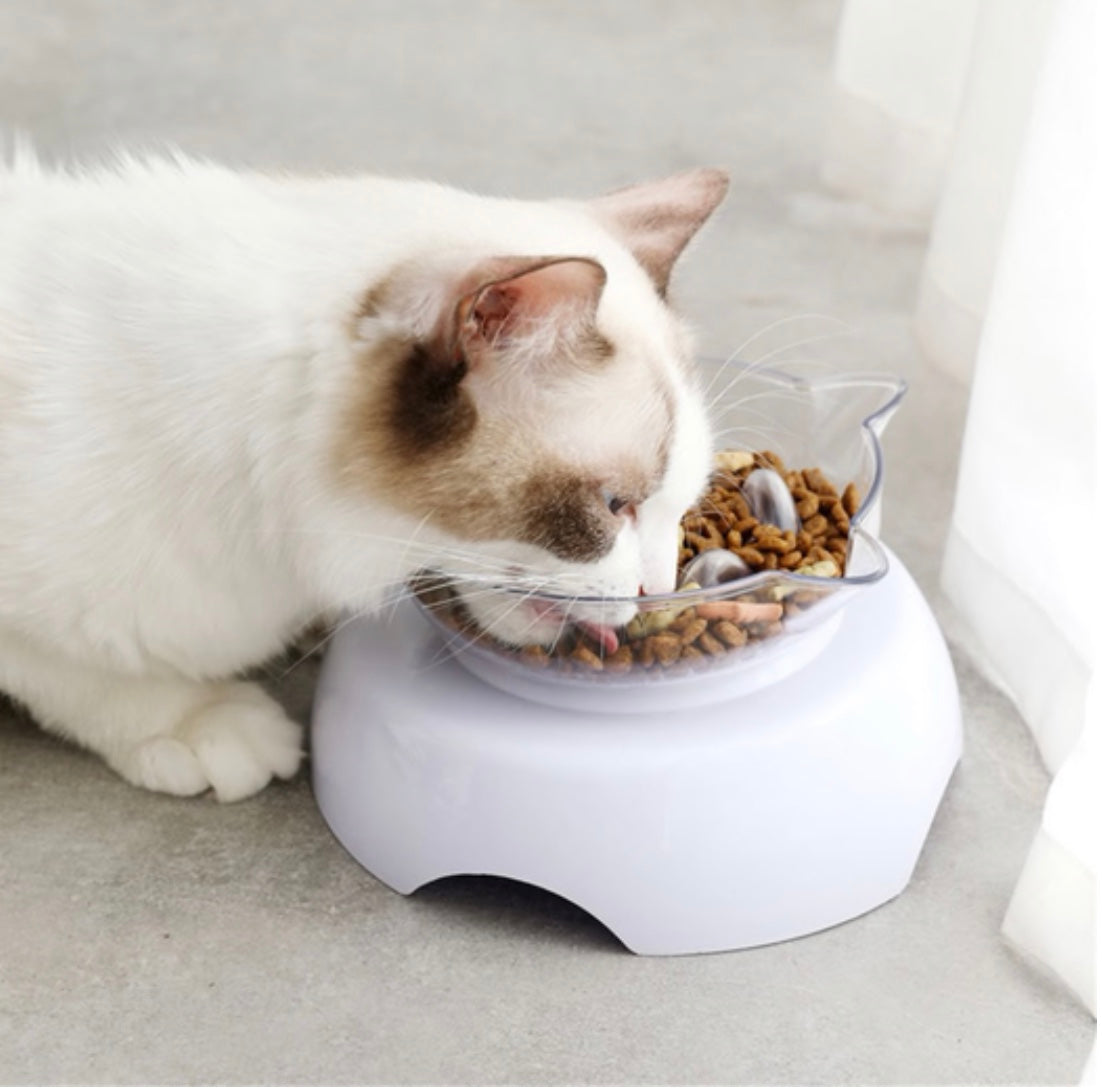 Orthopedic Cat Bowl & Slow Feeder 2-in-1 — Anti-Vomiting