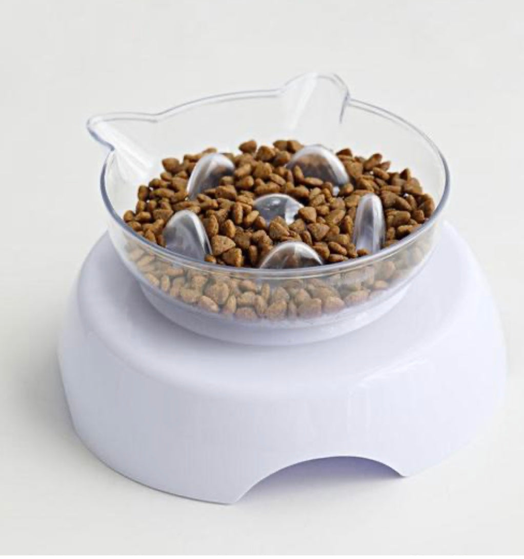 Orthopedic Cat Bowl & Slow Feeder 2-in-1 — Anti-Vomiting
