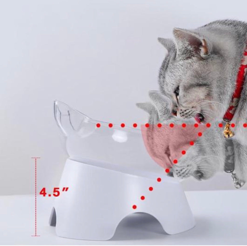 Orthopedic Cat Bowl & Slow Feeder 2-in-1 — Anti-Vomiting