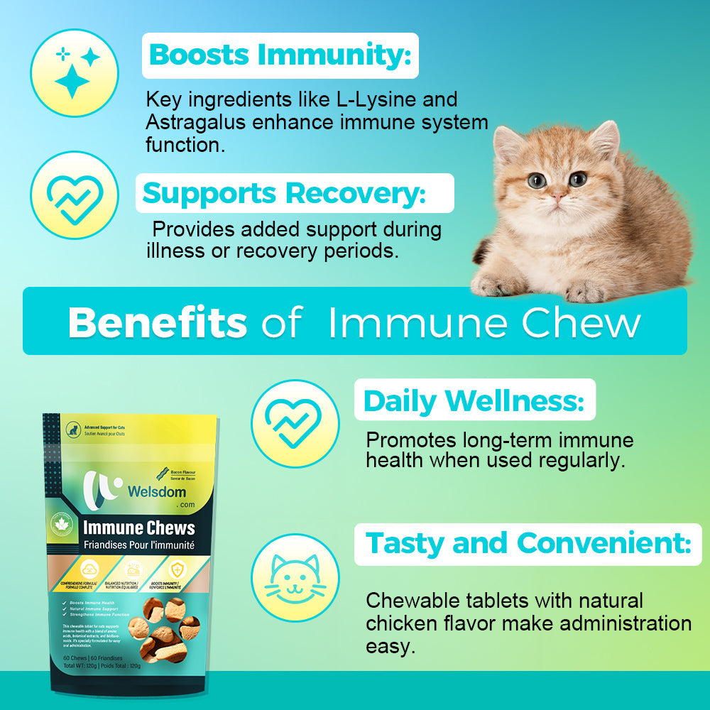 Welsdom Cat Immune Chews — 60 Chews