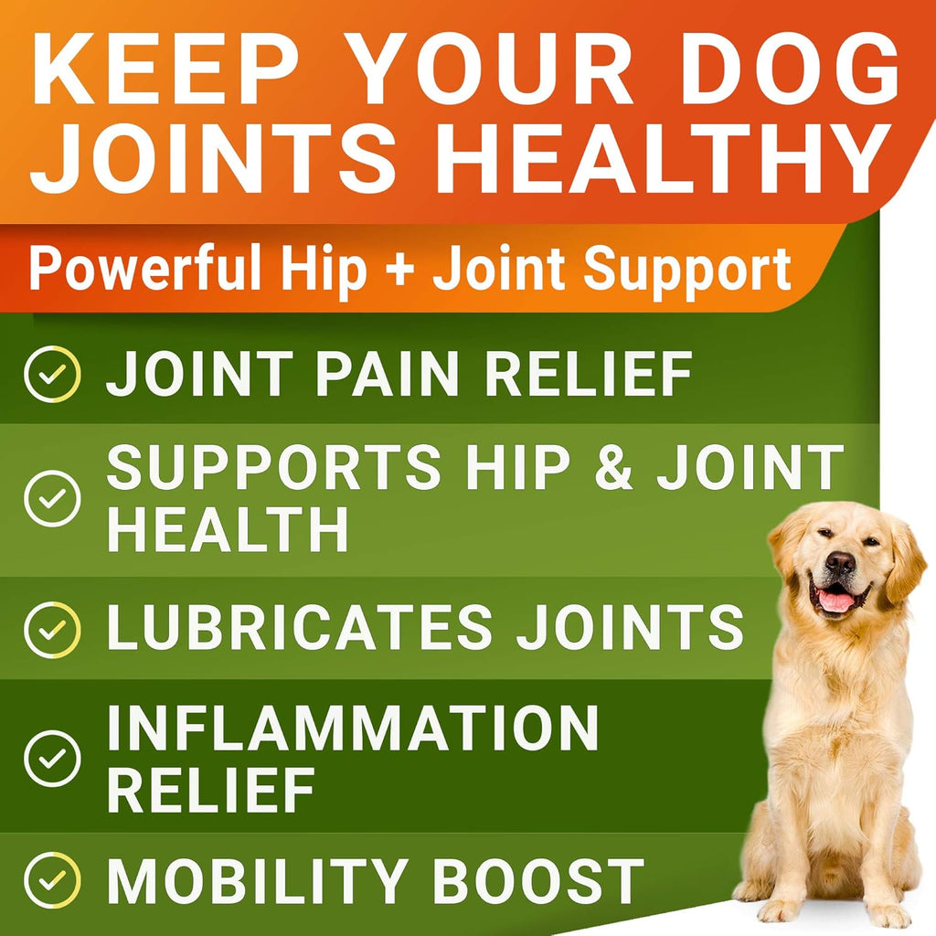 Advanced Hip & Joint Chews — 8-in-1 Mobility Formula