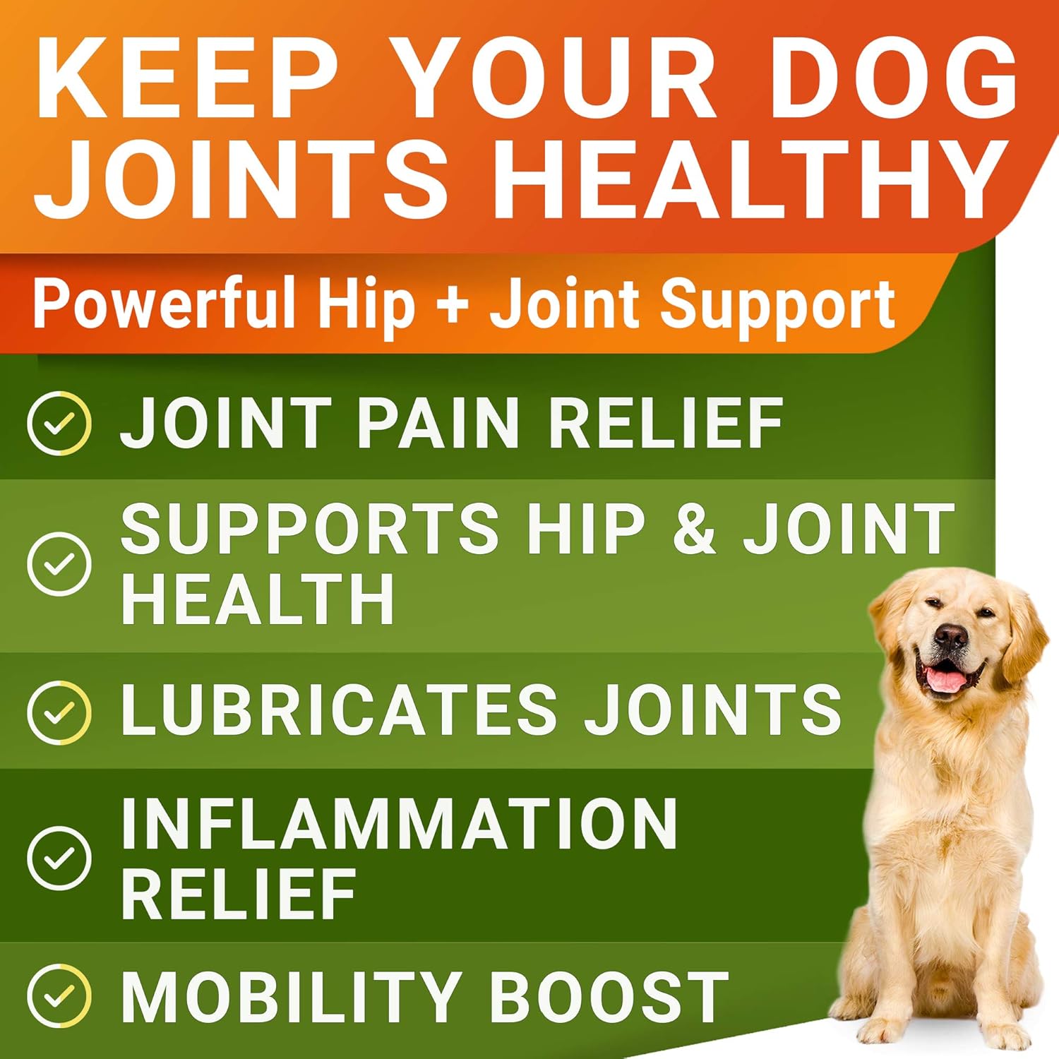Advanced Hip & Joint Chews — 8-in-1 Mobility Formula