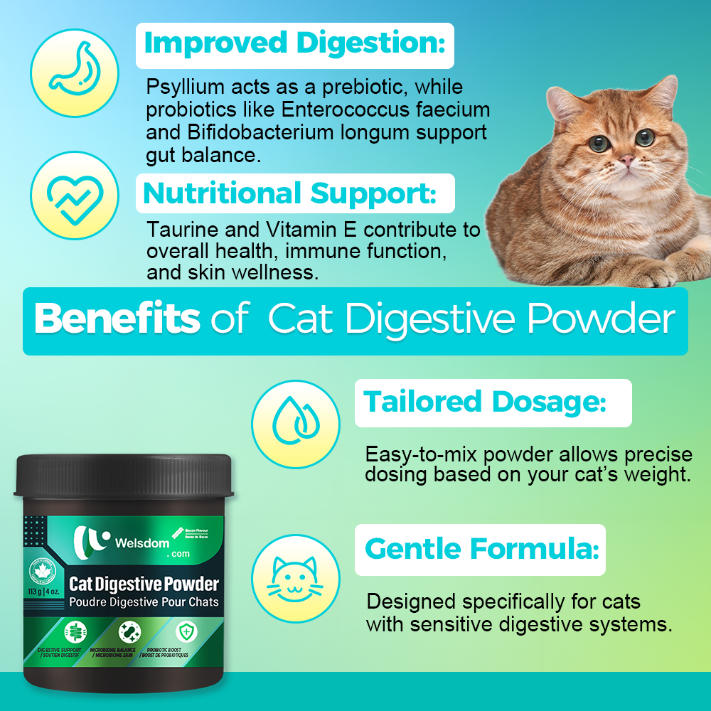 Welsdom Cat Digestive Powder
