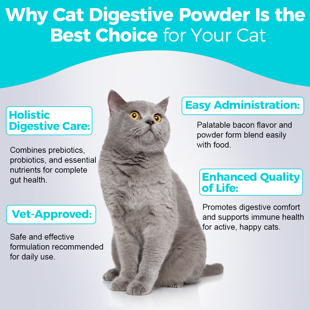 Welsdom Cat Digestive Powder