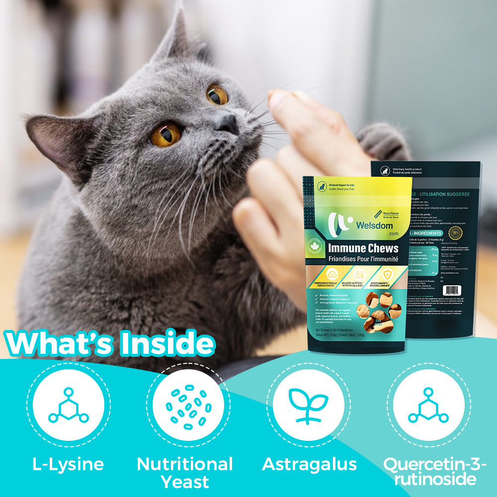 Welsdom Cat Immune Chews — 60 Chews