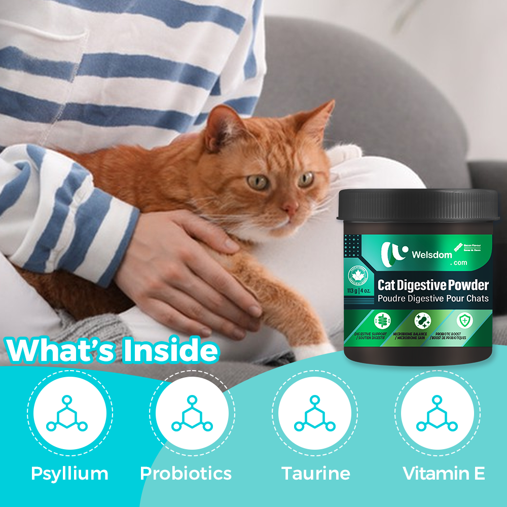 Welsdom Cat Digestive Powder