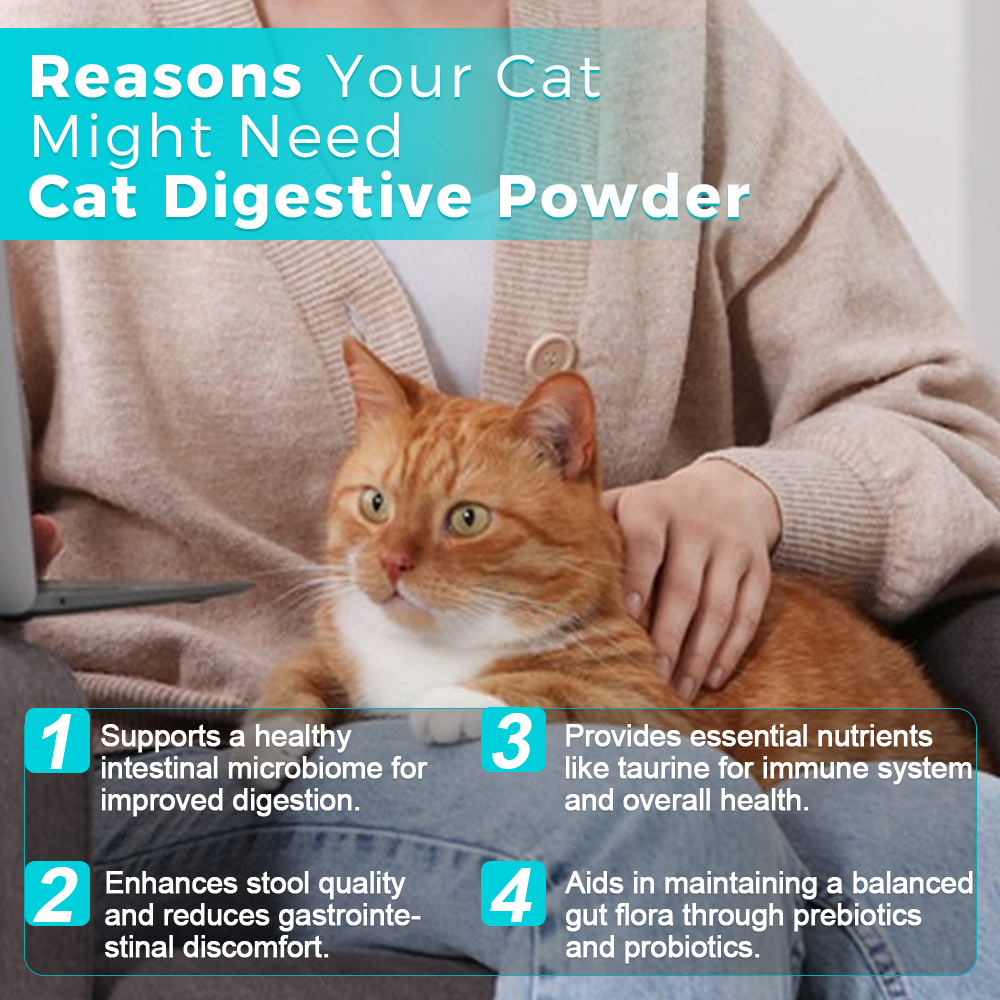 Welsdom Cat Digestive Powder