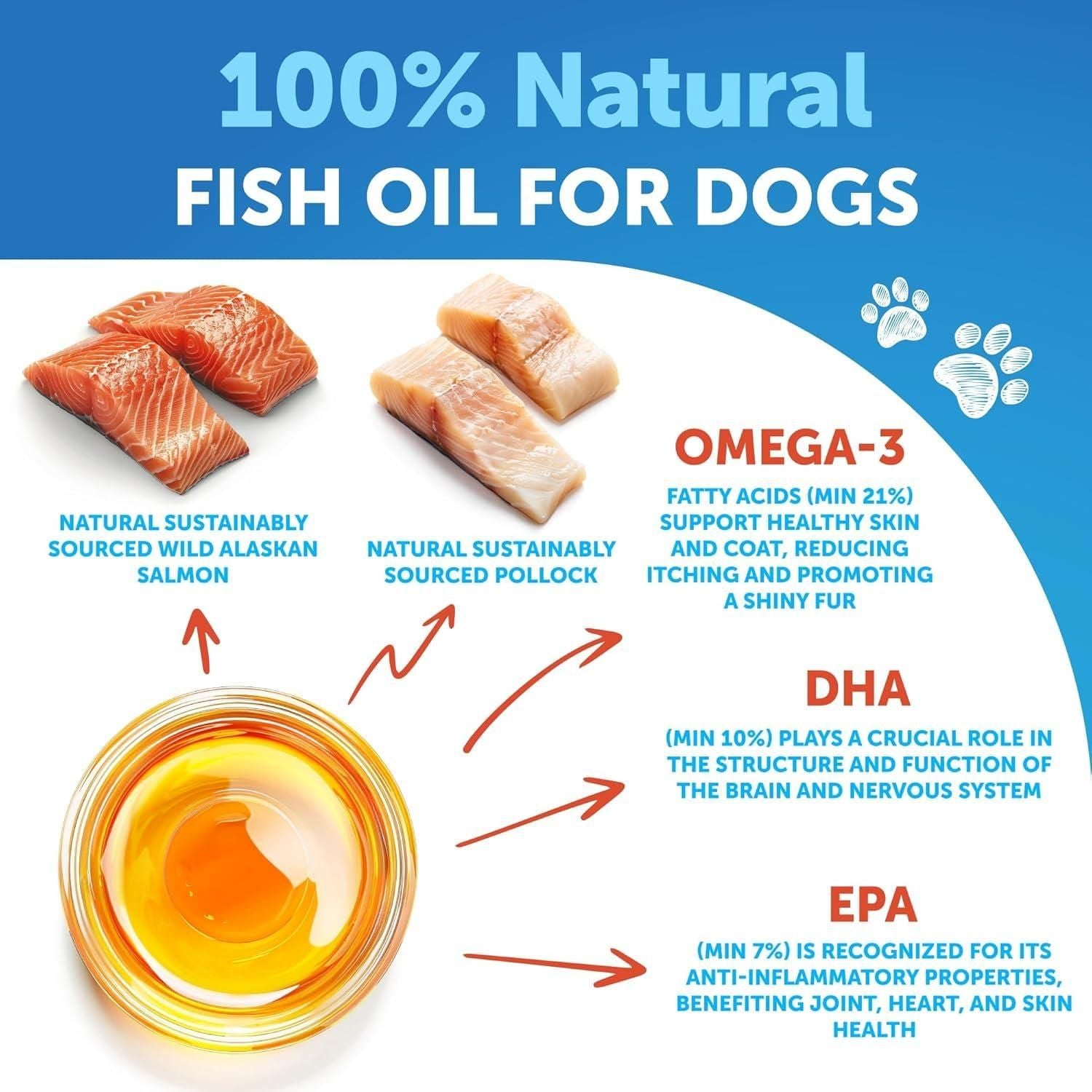 Omega-3 fish oil pump bottle close-up skin and coat formula for dogs