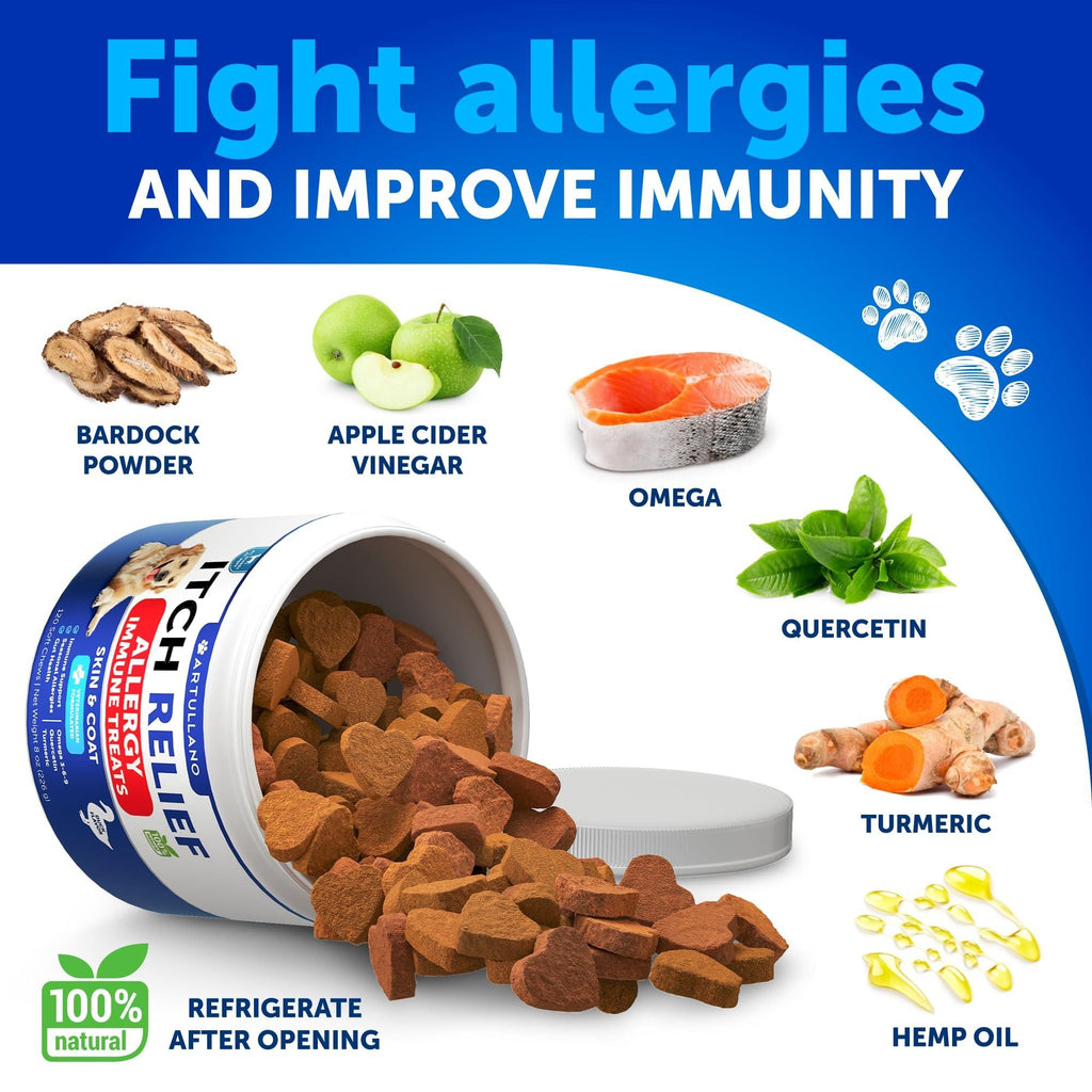 Dog with allergy and immune chews seasonal itch relief supplement