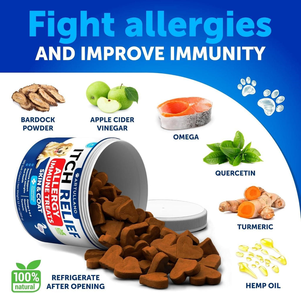 Dog with probiotic soft chews daily digestive support supplement
