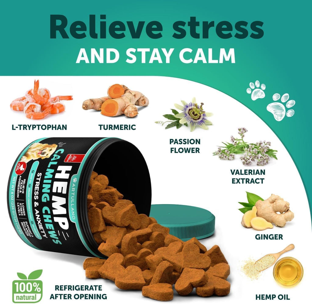 Dog with melatonin calming chews natural anxiety relief supplement