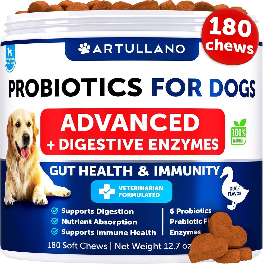 Probiotic soft chews for dogs front label digestive supplement bottle