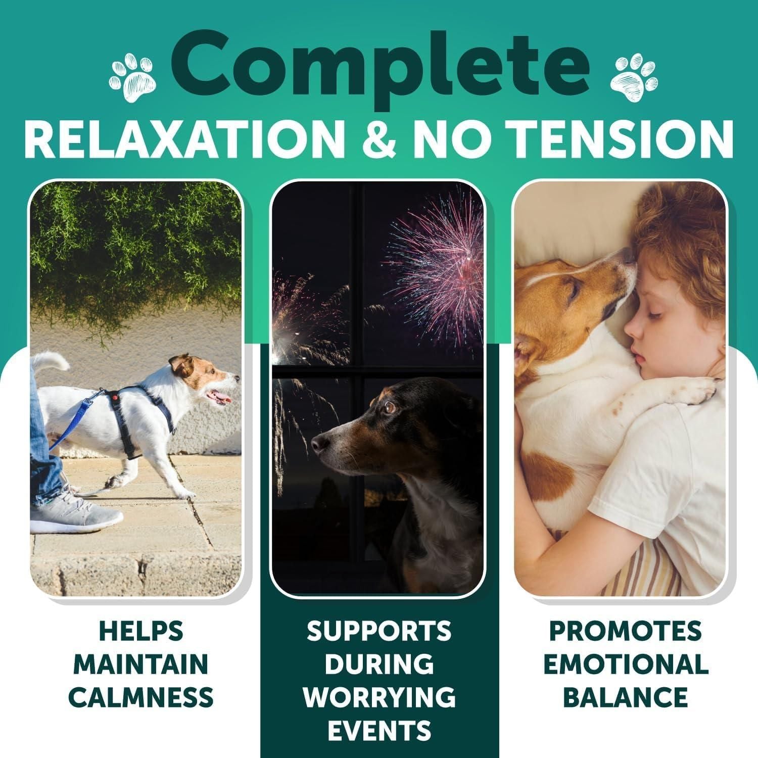 Melatonin calming chews back label with ingredients and dosage info