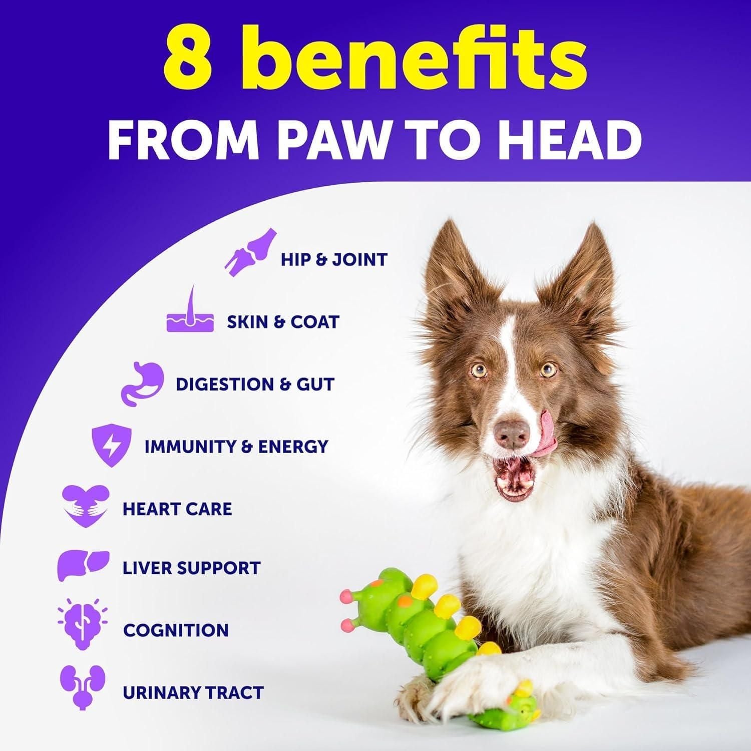 Soft chew texture close-up multivitamin supplement for dogs