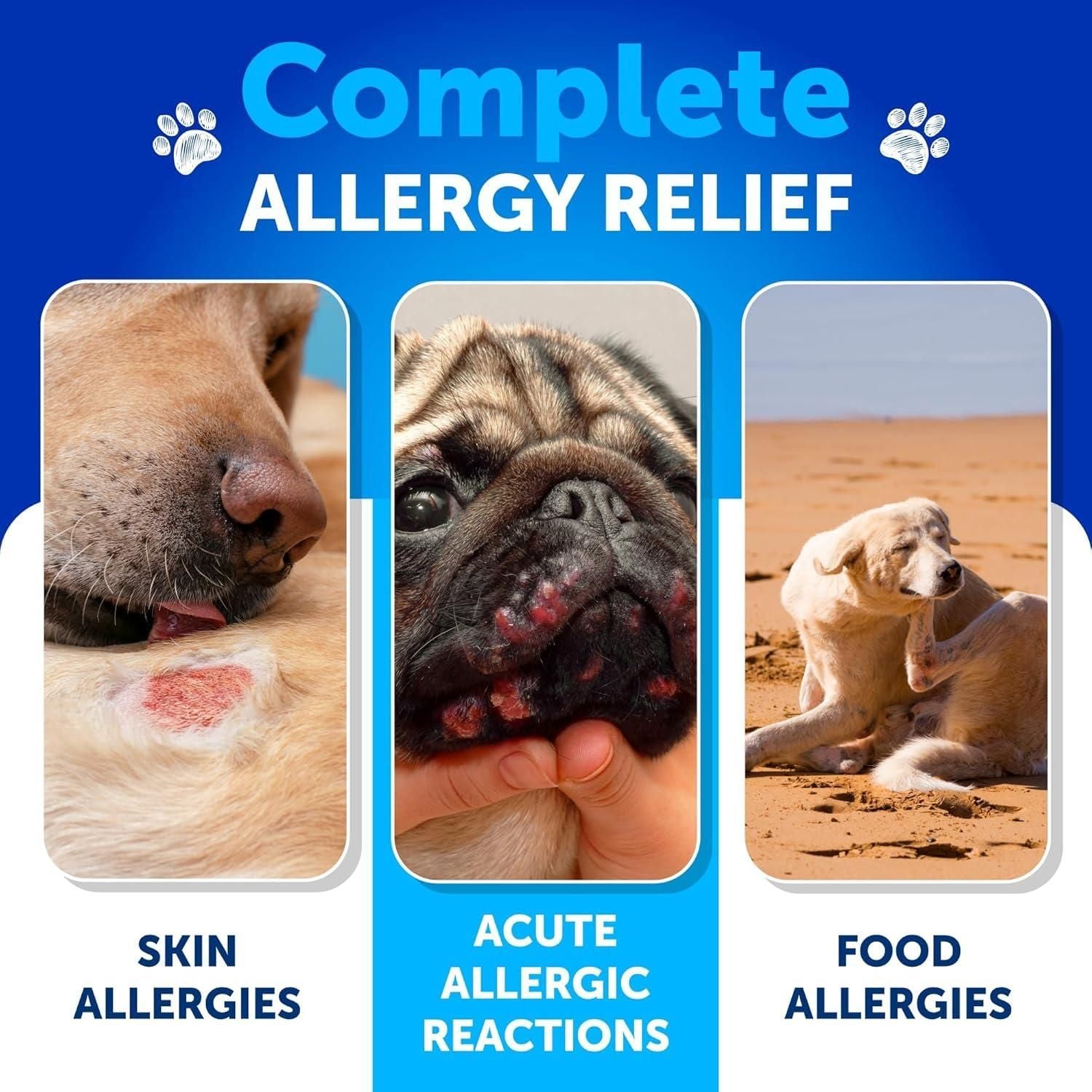Soft chew texture close-up probiotic digestive supplement for dogs