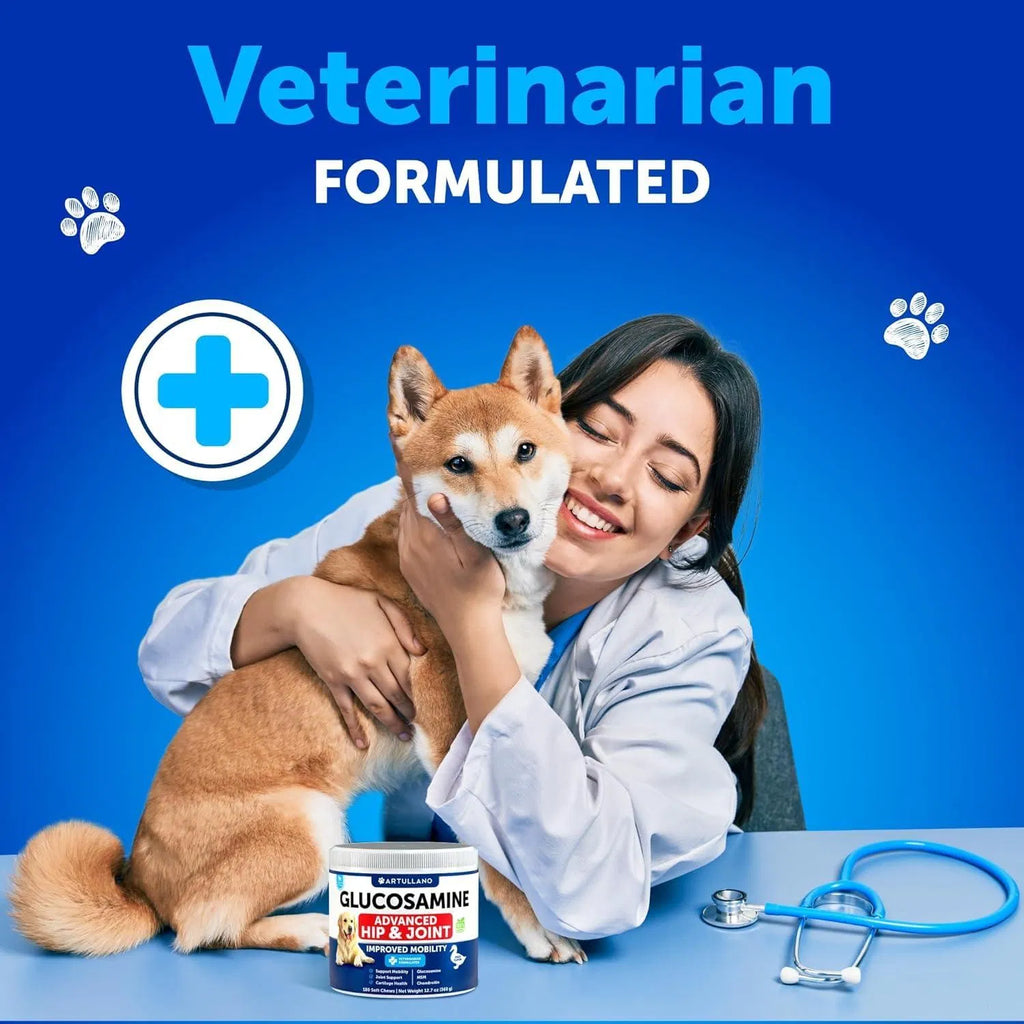 Senior Dog Hip & Joint Chews — Advanced Mobility Support with Glucosamine & Chondroitin (180 Chews)