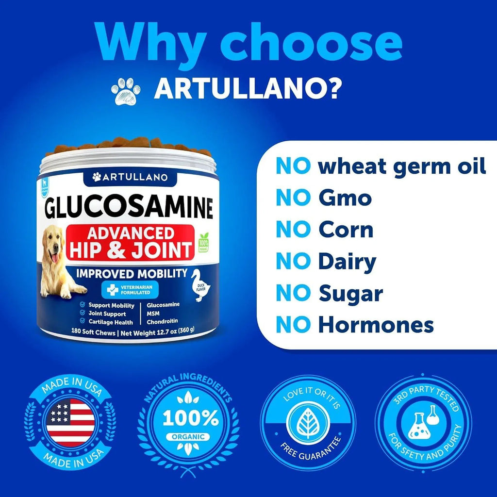 Senior Dog Hip & Joint Chews — Advanced Mobility Support with Glucosamine & Chondroitin (180 Chews)
