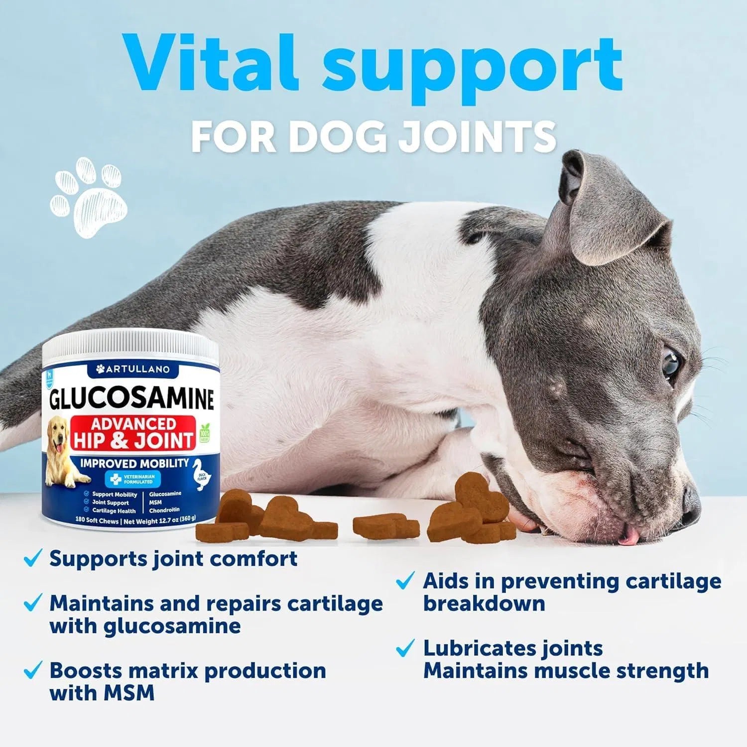 Senior Dog Hip & Joint Chews — Advanced Mobility Support with Glucosamine & Chondroitin (180 Chews)