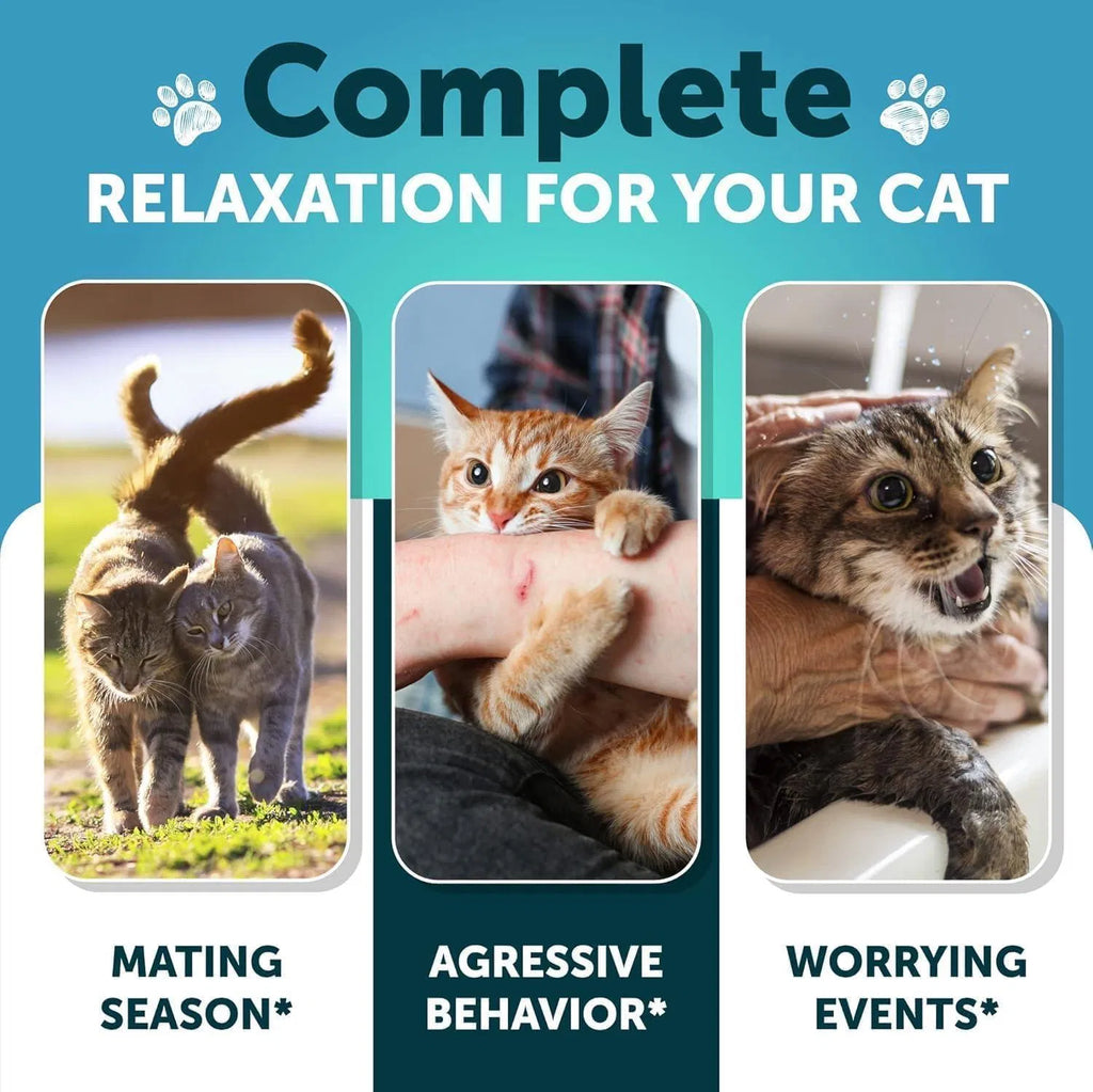 Cat Calming Chews