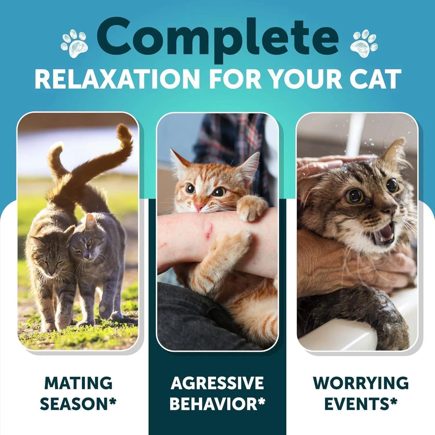 Cat Calming Chews